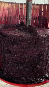 prensa de uva, uva, vino